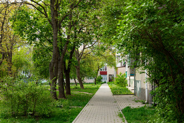 rustic park outdoor city square walking area outdoor environment space small promenade trail surrounded by green foliage trees area