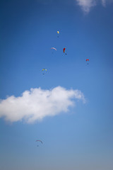 group of paragliders thermalling, italian Alps