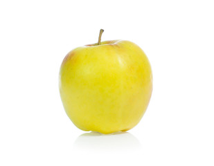 yellow apples isolated