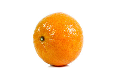 orang isolated on white