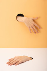 cropped view of holes with hands of woman on white and orange