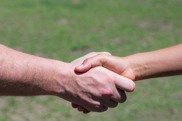 Close-up shot of man shaking hands with woman in the garden. Concept of teamwork.