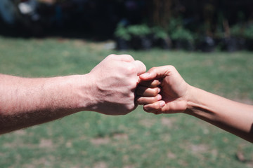 Close-up of two fists of woman and man bumping together in a garden. Concept of teamwork.