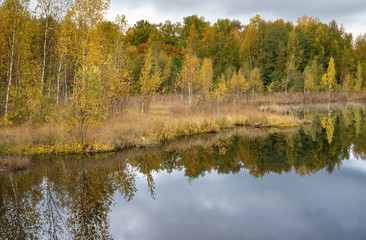 Fototapeta na wymiar marsh, Lake