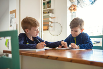 Brothers learning at home, Homeschooling	