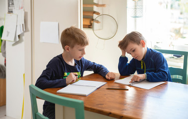 Brothers learning at home, Homeschooling	