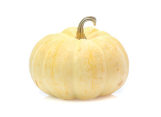 Pumpkin isolated on white background