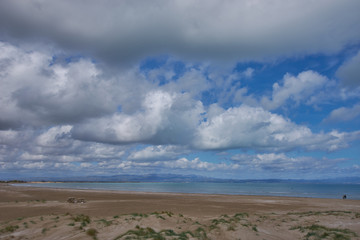 playa de arena y dunas  en un dia soleado