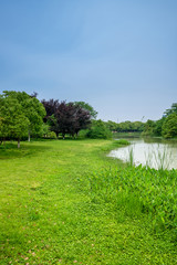 River and green grass in rainy weather