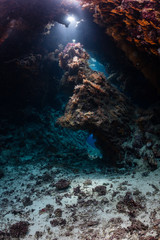 Naklejka na ściany i meble typical underwater cave in a red sea reef