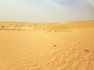 lompoul desert yellow sand photographed from the air in Africa camels and drivers go by caravan in Africa