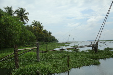 Fototapeta na wymiar Vembanad lake is the longest lake in India,[1]and the largest lake in the state of Kerala[Mangrove with area 2114 sq. Km is 
