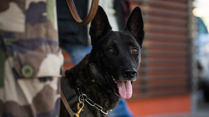 Gendarmerie Covid 19 