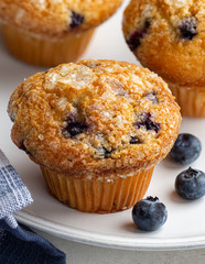 Closeup of a Blueberry Muffin and Fresh Berries