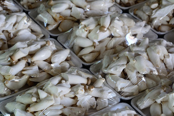 King oyster or Eringi mushroom pack in foam tray.