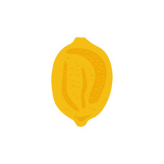 Lemon. Tropical summer fruit isolated on a white background. Citrus in hand drawn style. Scandinavian nordic design for fashion or interior or cover or textile or background.