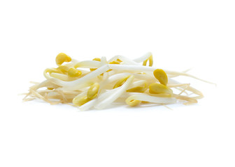 Bean Sprouts  isolated on White Background