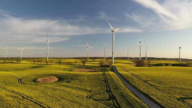 Windpark im Abendlicht auf einem Rapsfeld in der Uckermark