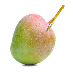 mango isolated on white background