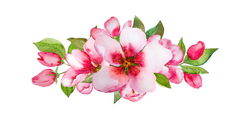 Watercolor pink blossom flowers set isolated on white background.