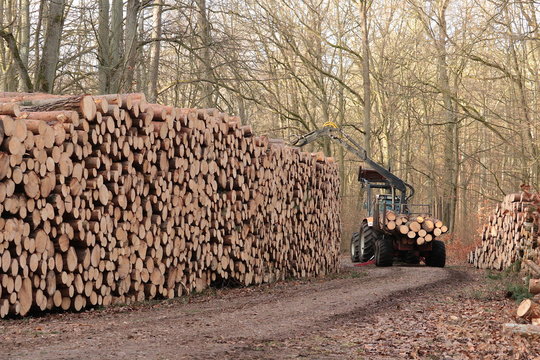 Traktor mit Kranwagen beim Ablegen von Stammholz