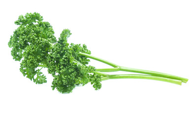 Parsley isolated on white background