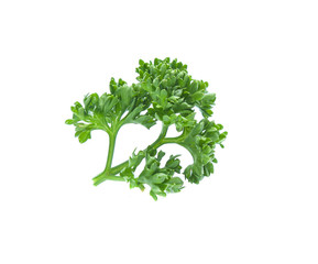 Parsley isolated on white background