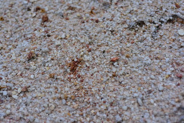 Close-up photos of brown ground and sand. Used as a background image.