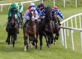 Race horseing action, Race horses and jockeys battling for first position on the race track