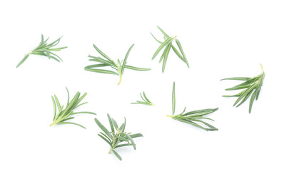 Obraz premium rosemary isolated on white background