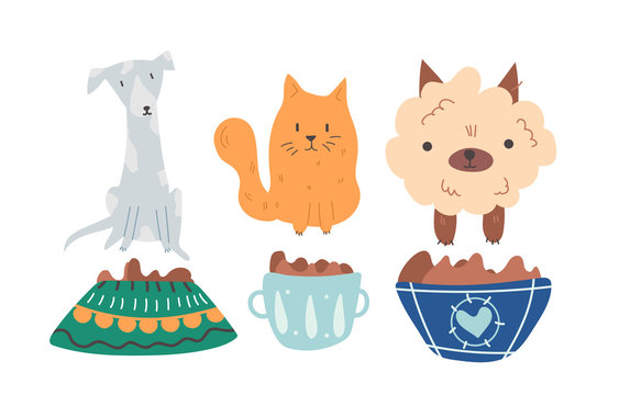 Group of cute, adorable and hungry dogs and cats are sitting near the plates full of dry pet food waiting for adoption by loving owner. Vector cartoon flat illustration on white background