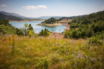a meadow view of the lake of Metsovo, with forest, mountains and flowers