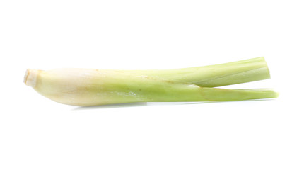 Lemon grass on white background