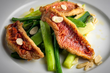 Grilled fish fillet with asparagus, sauce on a dark background