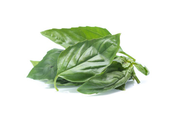 Close up green basil herb leaves isolated on white background.