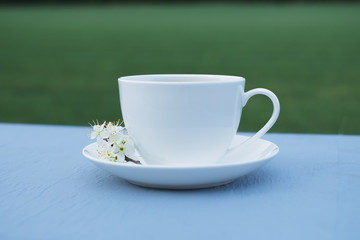 cherry blossom in white plate on table in open space. On a green background. Spring concept
