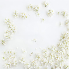 Frame of apple flowers blossom on white wooden background. Spring concept with copy space, top view..