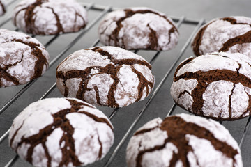 Chocolate chip cookie with cracks. Metallic rack with fresh baked chocolate cookie on a gray background.