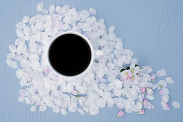 Petals covered with white coffee cup on a blue background. Top view
