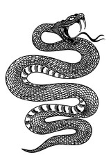 Illustration of poisonous snake  in engraving style. Design element for logo, label, emblem, sign, badge. Vector illustration