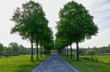 Weg und Bäume in einem Park in Gelsenkirchen