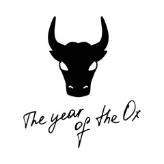 Ox, bull, cow on white background. Lunar horoscope sign. Chinese new year 2021.