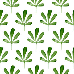 Fresh green leaves isolated on white background. Simple botanical ornament of watercolor elements. Natural seamless pattern for minimal design of fabric, wallpaper, packaging