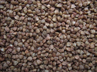 Close-up buckwheat grains in full frame.  Cereal abstract background 