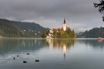 Fototapeta na wymiar Morning view of famous lake Bled and small island with a church in Slovenia