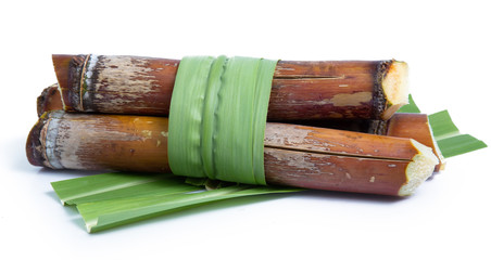 sugarcane isolated on white background clipping path