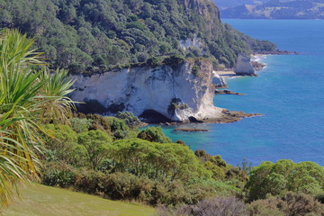 Cathedral Cove von Weitem NZ
