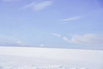 Fototapeta na wymiar pure snow in FURANO, HOKKAIDO, JAPAN winter, snow, the pure white background 雪原、富良野、美瑛、北海道、日本