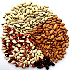 Beans of bean ( beans ). Background of many grains of dried beans. Сolored beans texture. Food background. Close up. Bean background and textured. Background of colored beans. Brazilian diet snack foo
