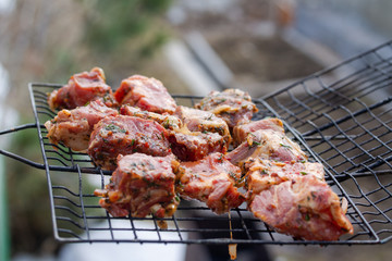 Raw marinaded juicy pork meat in grill grates. Fresh food prepared for barbeque. Summer cooking outdoors